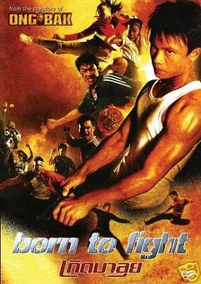 Born to Fight poster Thai