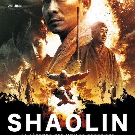 shaolin 2011 poster