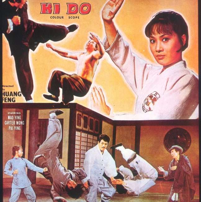 HAPKIDO POSTER