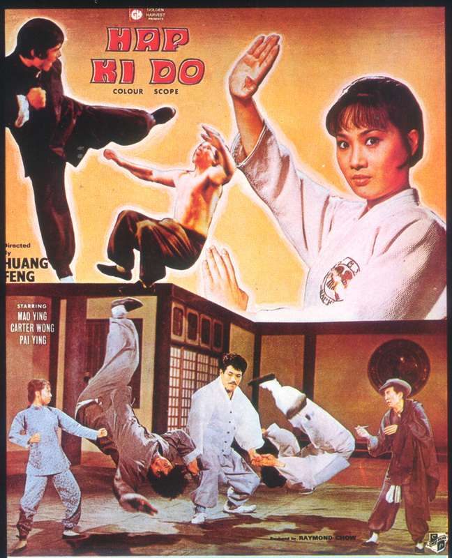 HAPKIDO POSTER